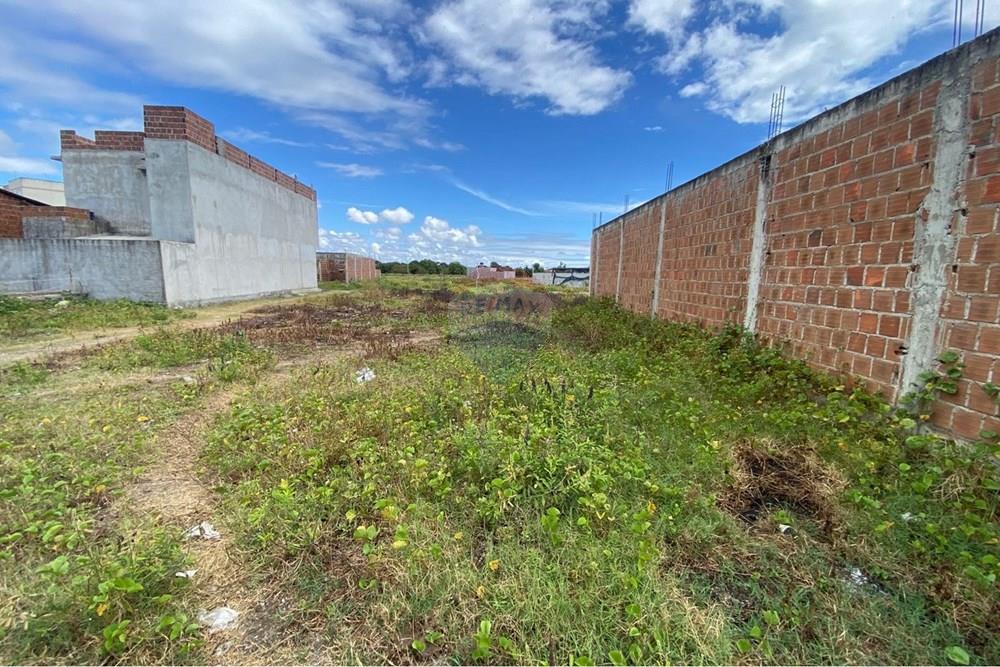 Terreno - Venda - Ipojuca , Pernambuco - WhatsApp Image 2026-02-17 at 12.37.51 (1).jpeg - 850221030-41