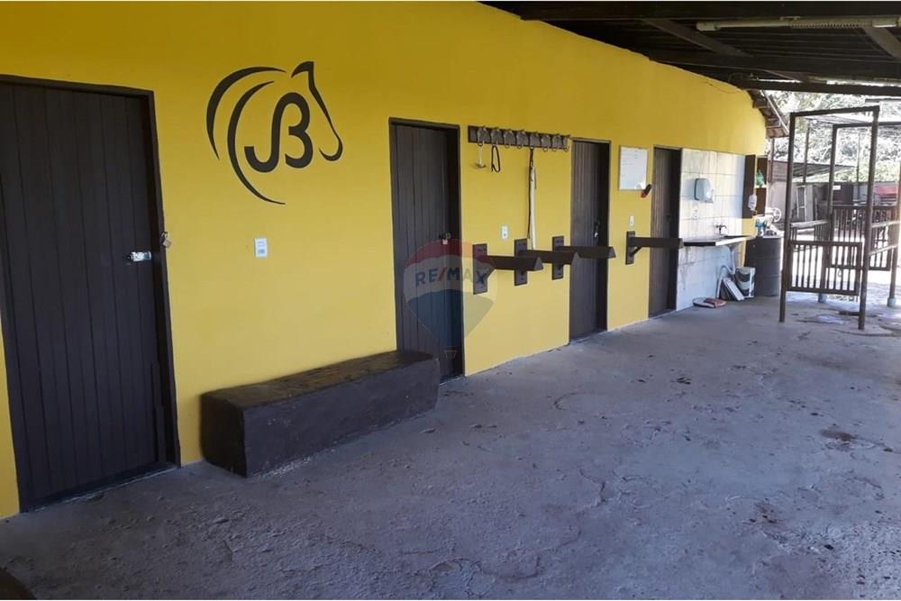 Chácara / Sítio / Fazenda - Venda - Camaragibe , Pernambuco - 8a2e5888-ccff-4005-aa08-f79ea0aed2da.jpg - 850251079-75