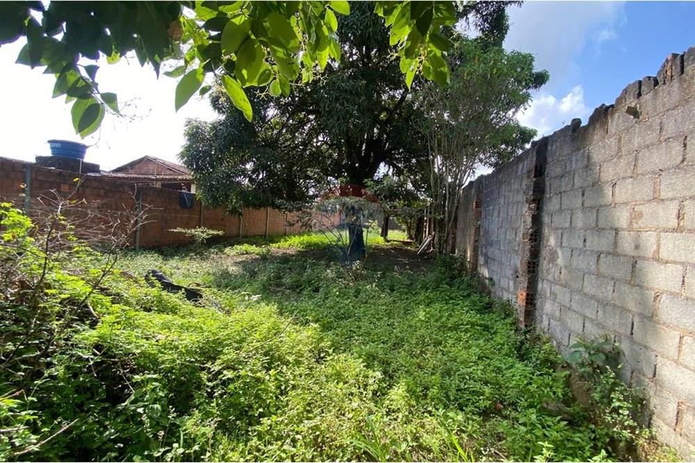 Terreno - Venda - Maceió , Alagoas - WhatsApp Image 2025-09-19 at 4.40.41 PM (1).jpeg - 850271154-83
