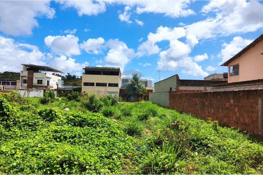 Terreno - Venda - Cabo de Santo Agostinho , Pernambuco - WhatsApp Image 2025-11-14 at 09.22.28 (2).jpeg - 850281001-56