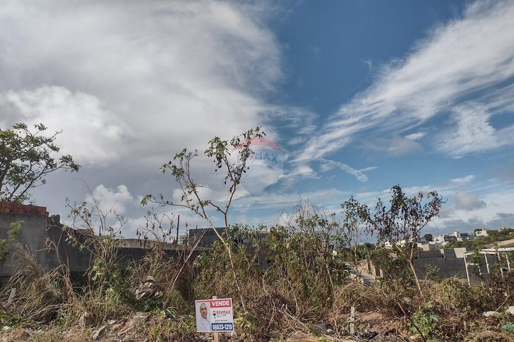 Terreno - Venda - Maceió , Alagoas - IMG_20260109_151306597_HDR.jpg - 850711012-64