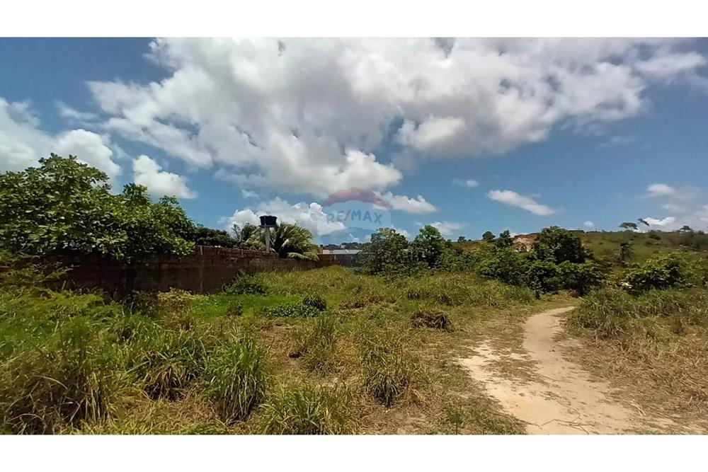 Terreno - Venda - Cabo de Santo Agostinho , Pernambuco - WhatsApp Image 2025-03-15 at 17.21.00.jpeg - 850281025-39