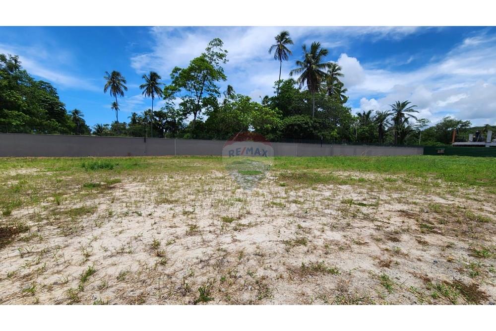 Terreno - Venda - Cabo de Santo Agostinho , Pernambuco - WhatsApp ImagIIe 2025-10-10 at 21.33.28.jpeg - 850191024-497