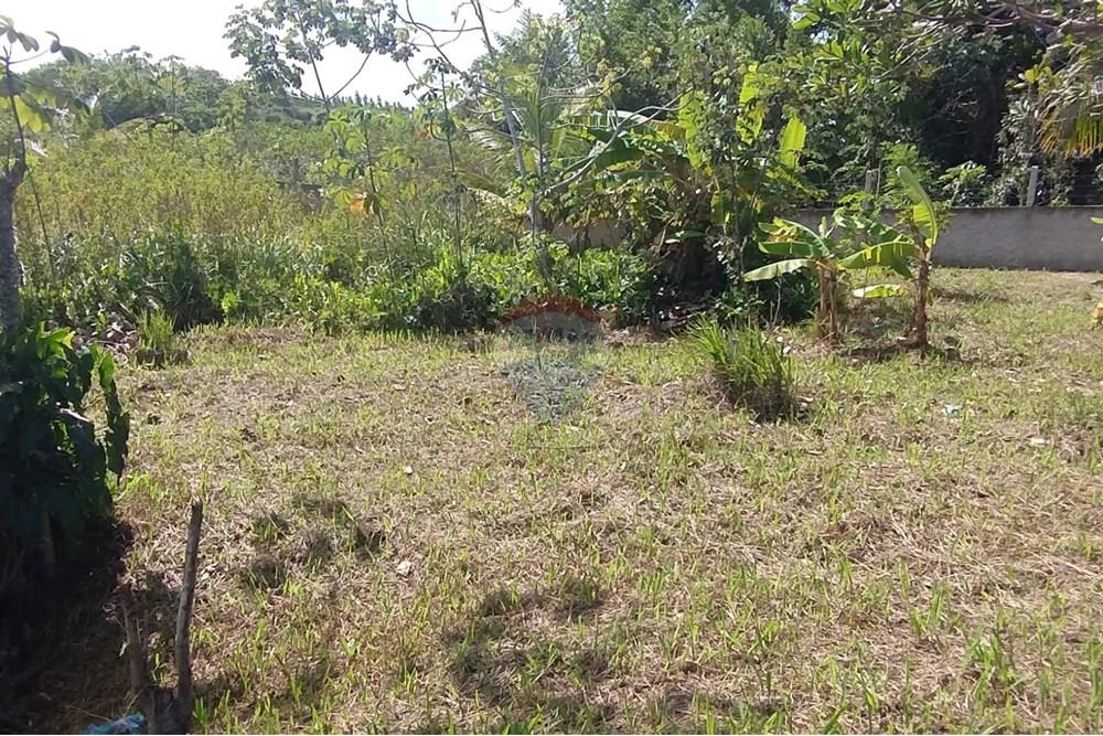 Chácara / Sítio / Fazenda - Venda - Santo Amaro das Brotas , Sergipe - bf7699cc-2368-462b-b335-ab291eea7243.jpeg - 850581211-37