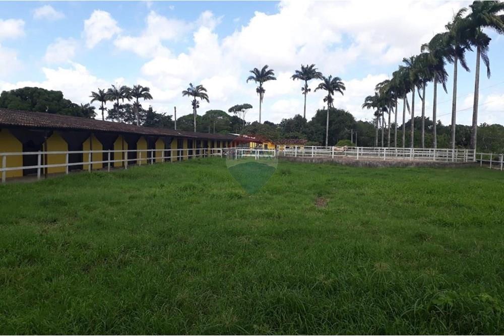 Chácara / Sítio / Fazenda - Venda - Camaragibe , Pernambuco - 103cafa4-648c-4546-b48a-a491ad60d701.jpg - 850251079-75