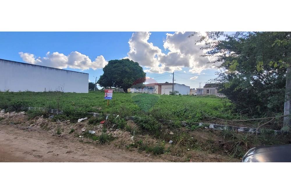 Terreno - Venda - Lajedo , Pernambuco - WhatsApp Image 2025-06-11 at 19.34.10 3.jpeg - 850741004-259