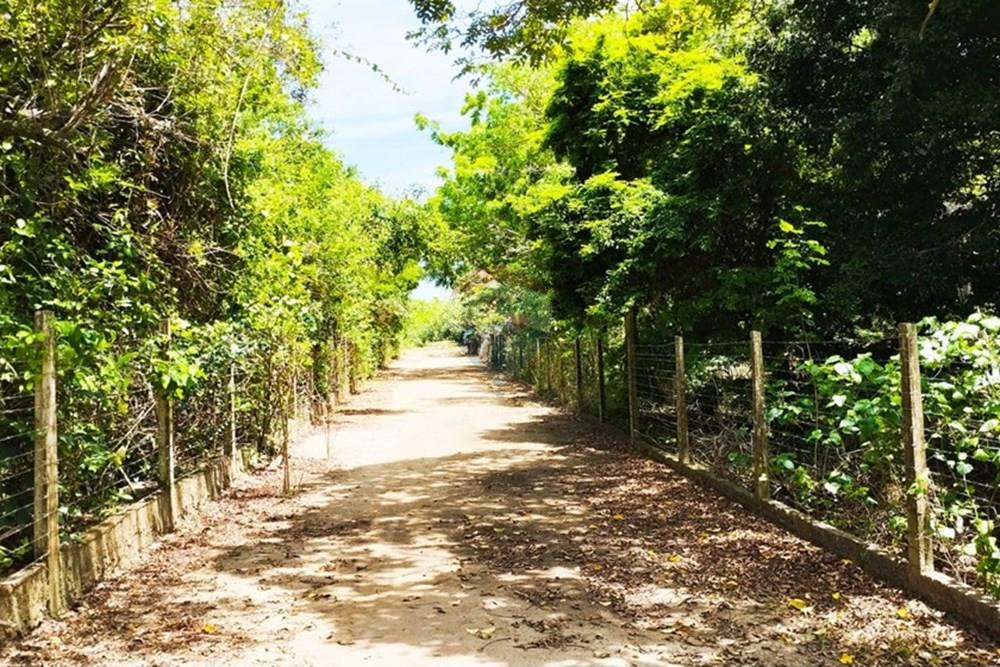 Chácara / Sítio / Fazenda - Alugar - Igarassu , Pernambuco - WhatsApp Image 2025-01-23 at 15.11.57 (1).jpeg - 850071019-200