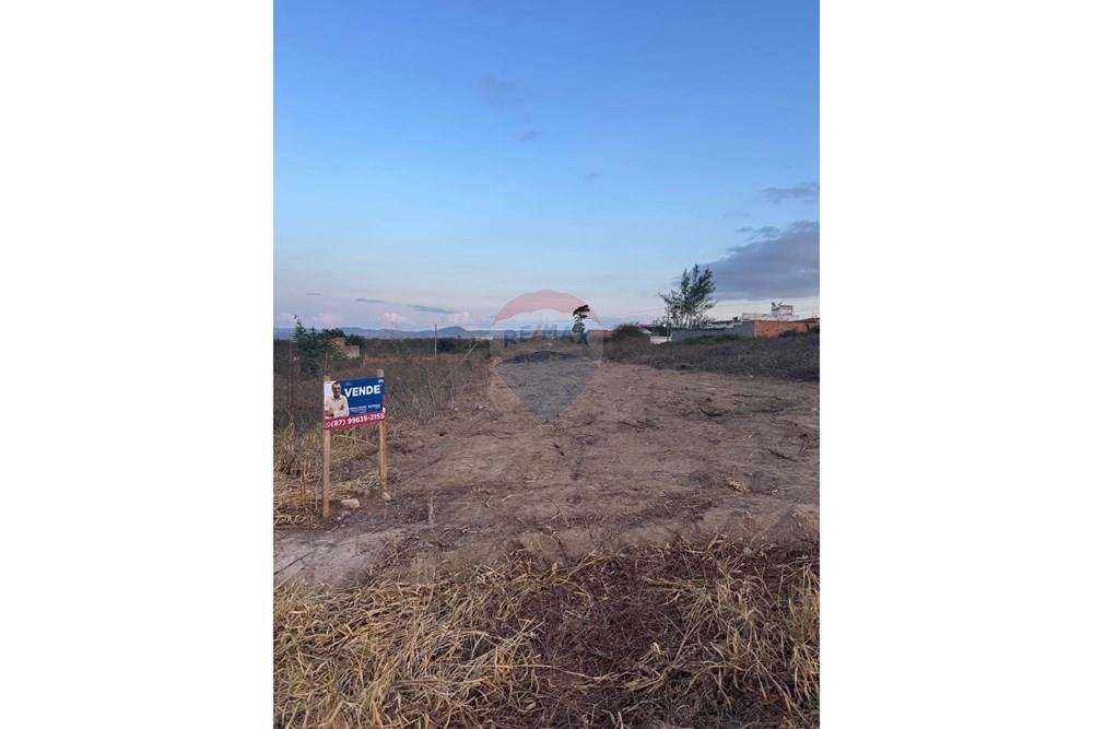 Terreno - Venda - Garanhuns , Pernambuco - WhatsApp Image 2026-01-14 at 13.56.58.jpeg - 850131003-529