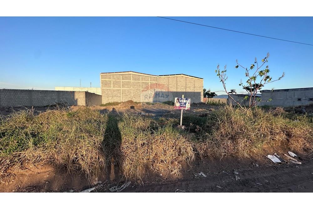 Terreno - Venda - Garanhuns , Pernambuco - IMG_2877.JPG - 850741006-7