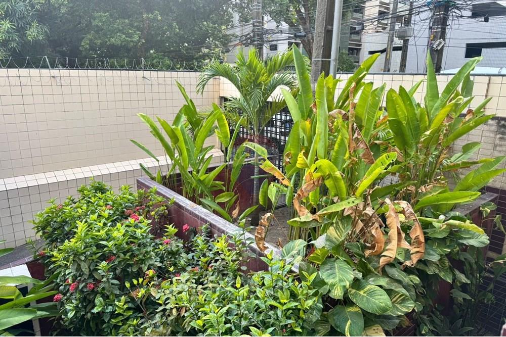 Apartamento - Venda - Recife , Pernambuco - Imagem do WhatsApp de 2025-11-21 à(s) 09.29.41_dc7522fa.jpg - 850301001-372