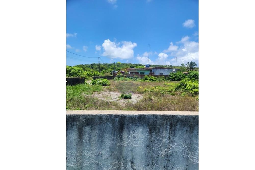 Terreno - Venda - Sirinhaém , Pernambuco - WhatsApp Image 2026-02-24 at 13.01.49.jpeg - 850251097-25
