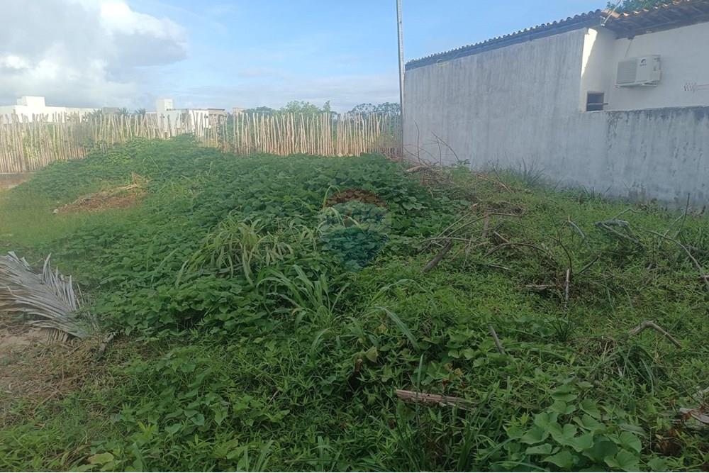 Terreno - Venda - Porto de Pedras , Alagoas - TERRENO CLÁUDIO 18.jpeg - 850141002-133