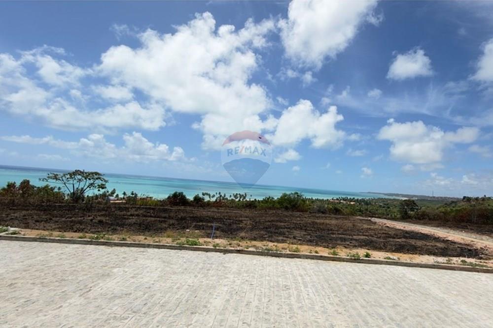 Terreno - Venda - Maragogi , Alagoas - WhatsApp Image 2026-01-17 at 19.09.48.jpeg - 850291001-265