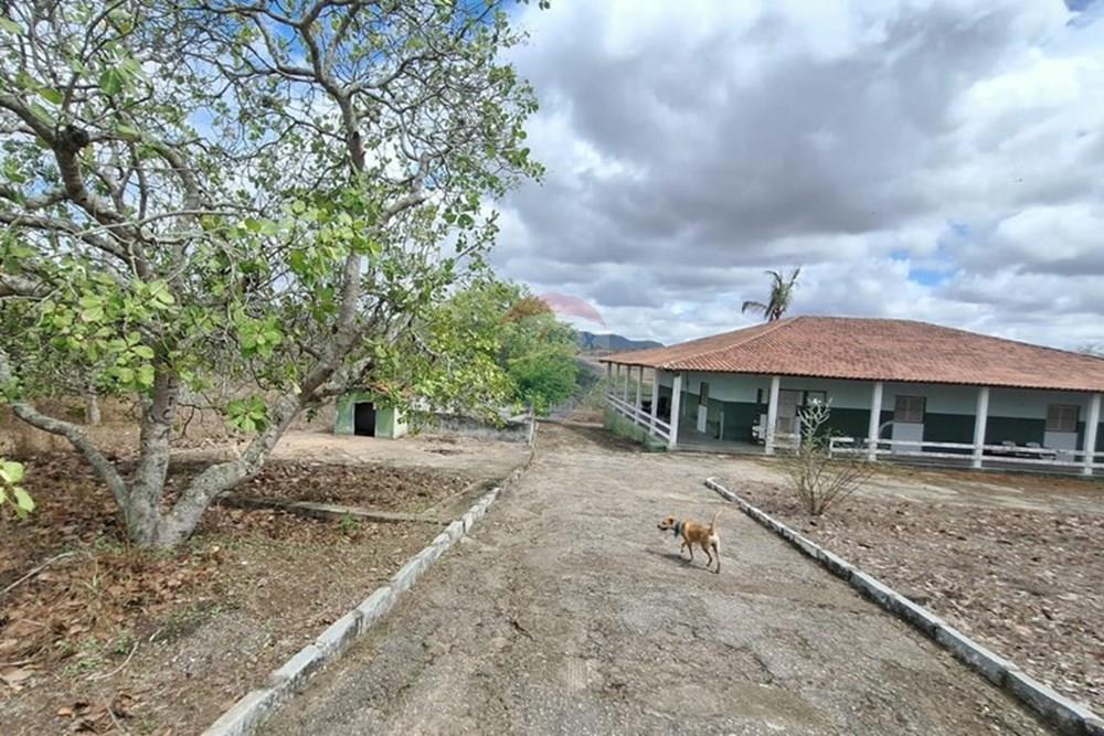 Chácara / Sítio / Fazenda - Venda - Caruaru , Pernambuco - WhatsApp Image 2026-03-02 at 12.25.26.jpeg - 850161060-46