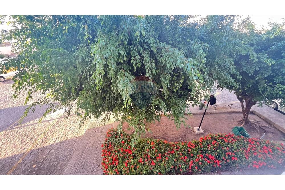 Apartamento - Venda - Maceió , Alagoas - IMG_5479.jpeg - 850271054-251