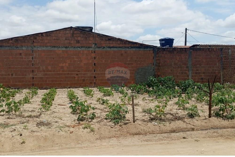 Terreno - Venda - Lajedo , Pernambuco - WhatsApp Image 2025-11-23 at 12.54.15 PM.jpeg - 850131012-48