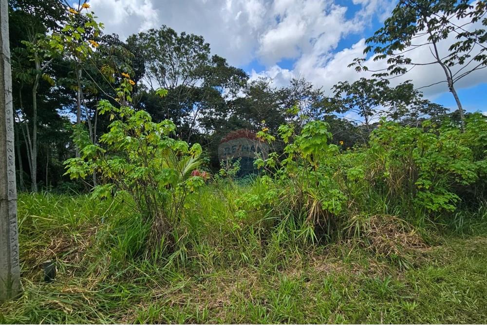 Terreno - Venda - Paudalho , Pernambuco - WhatsApp Image 2025-09-04 at 14.10.59 (1).jpeg - 850471016-74