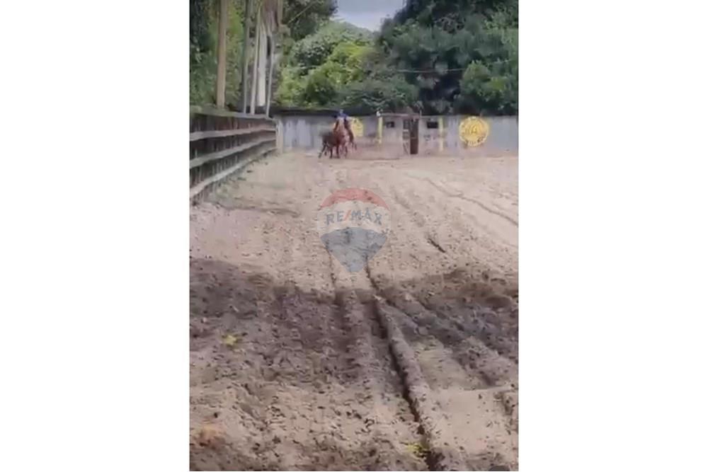 Chácara / Sítio / Fazenda - Venda - Camaragibe , Pernambuco - 57103d2e-6c2c-43d4-ab75-81069ca1dcbe.jpg - 850251079-75