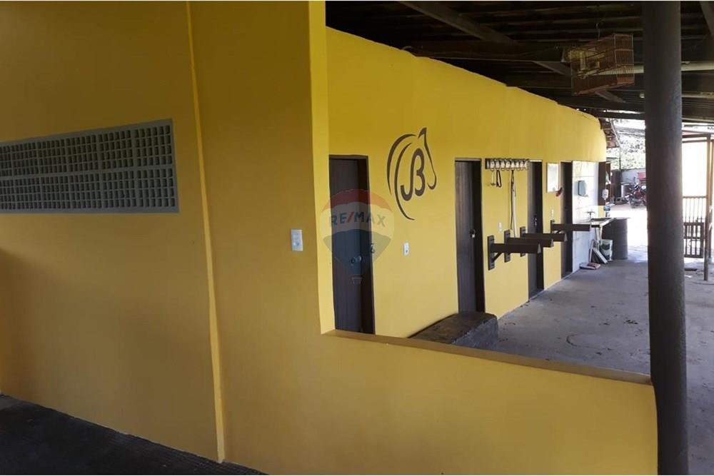 Chácara / Sítio / Fazenda - Venda - Camaragibe , Pernambuco - 056ff68a-4dbd-41ba-a179-c327f98f2f4d.jpg - 850251079-75