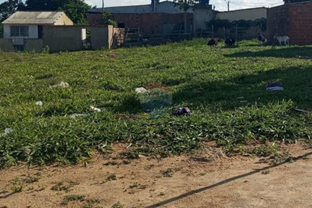 Terreno - Venda - Lajedo , Pernambuco - WhatsApp Image 2026-01-09 at 10.26.29.jpeg - 850131012-51