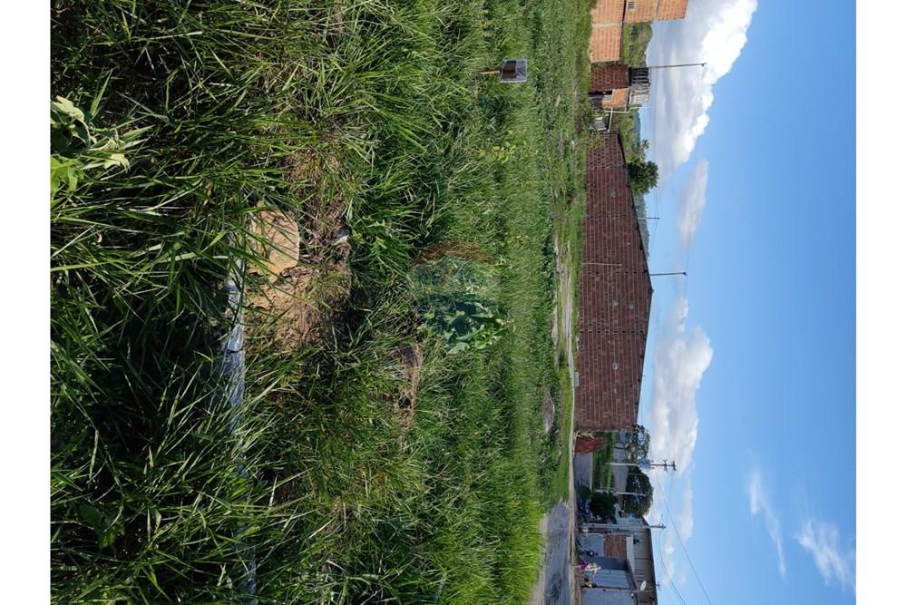 Terreno - Venda - Bonito , Pernambuco - WhatsApp Image 2025-03-10 at 08.44.20 (1).jpeg - 850051012-95