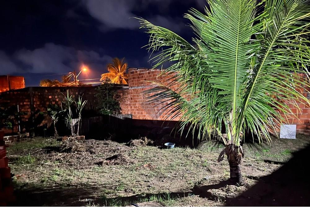 Terreno - Venda - Maceió , Alagoas - WhatsApp Image 2025-08-31 at 20.52.28 (1).jpeg - 850651033-3