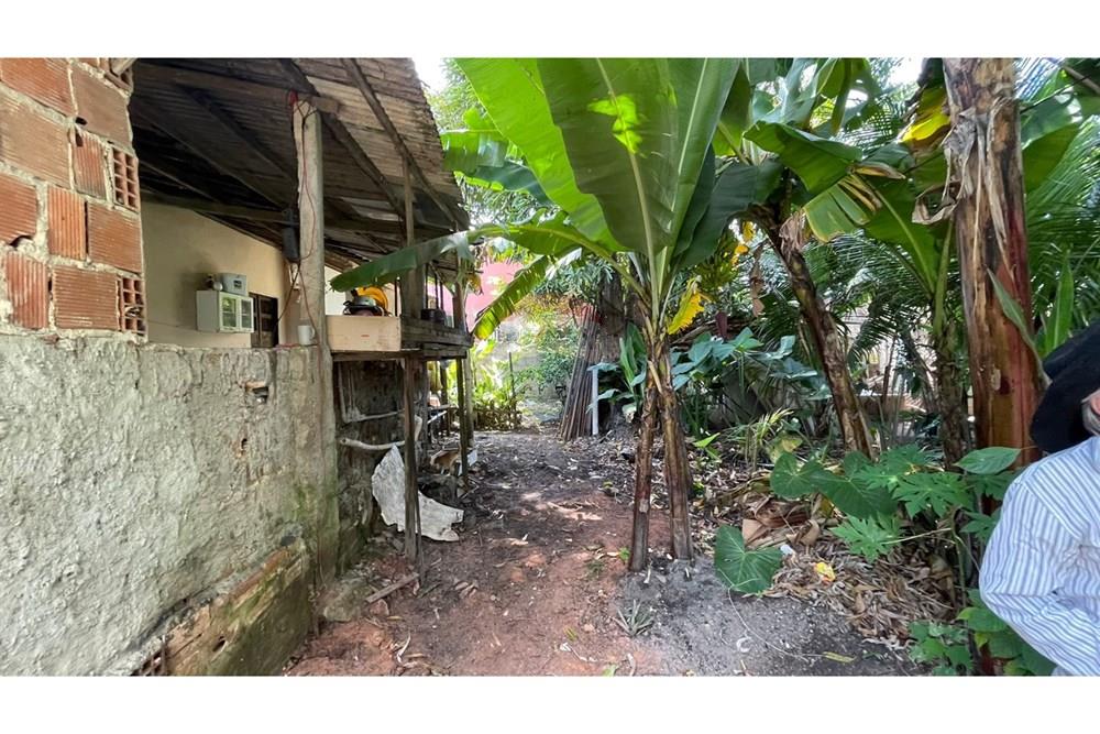 Chácara / Sítio / Fazenda - Venda - Maceió , Alagoas - c4c8f2c7-376c-4a87-857d-42b6043fbd9a.jpeg - 850271147-49