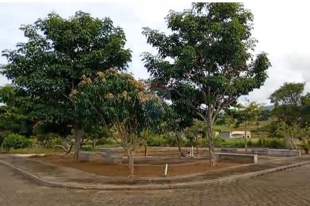 Terreno - Venda - Palmeira dos Índios , Alagoas - WhatsApp Image 2025-11-14 at 16.53.25 (4).jpeg - 850271243-9