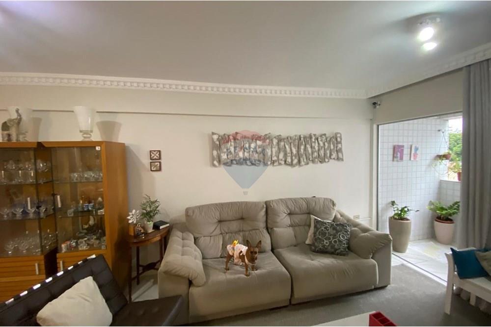 Apartamento - Venda - Recife , Pernambuco - IMG-20250603-WA0094.jpg - 850701012-88