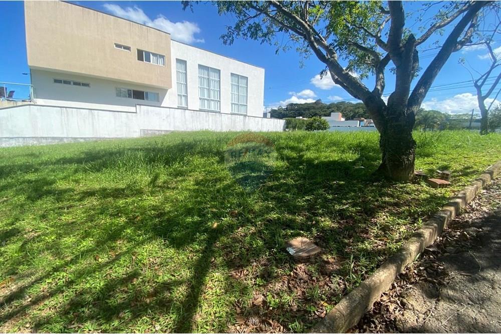 Terreno - Venda - Recife , Pernambuco - Imagem do WhatsApp de 2025-08-12 à(s) 08.24.41_09944df4.jpg - 850091046-384