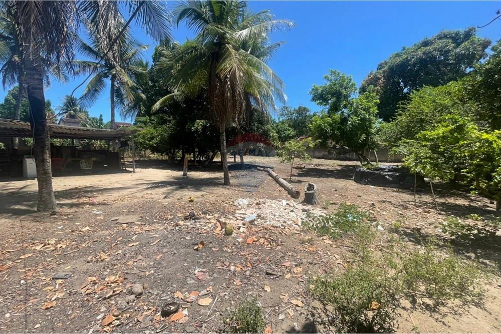 Terreno - Venda - Maceió , Alagoas - WhatsApp Image 2026-01-16 at 14.15.05 (1).jpeg - 850271272-1