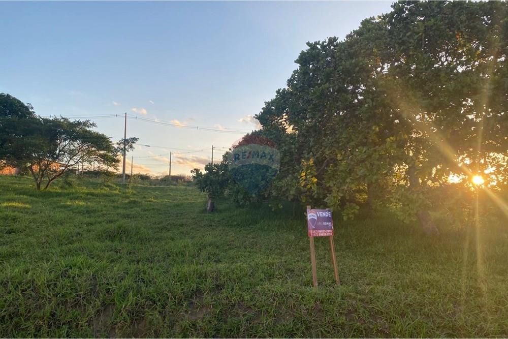 Terreno - Venda - Garanhuns , Pernambuco - WhatsApp Image 2026-03-27 at 15.40.55 (2).jpeg - 850741009-1