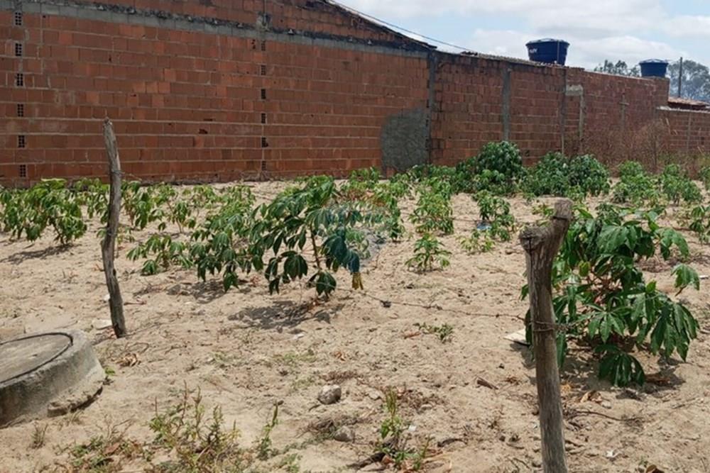 Terreno - Venda - Lajedo , Pernambuco - WhatsApp Image 2025-11-23 at 12.54.15 PM (1).jpeg - 850131012-48