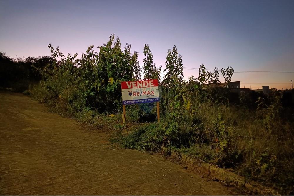 Terreno - Venda - Garanhuns , Pernambuco - WhatsApp Image 2025-11-06 at 19.25.09 (1).jpeg - 850741008-1