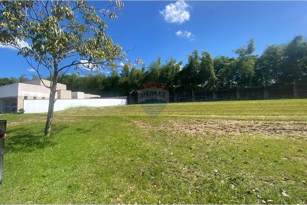 Terreno - Venda - Recife , Pernambuco - Imagem do WhatsApp de 2025-08-12 à(s) 08.24.42_90807a13.jpg - 850091046-386