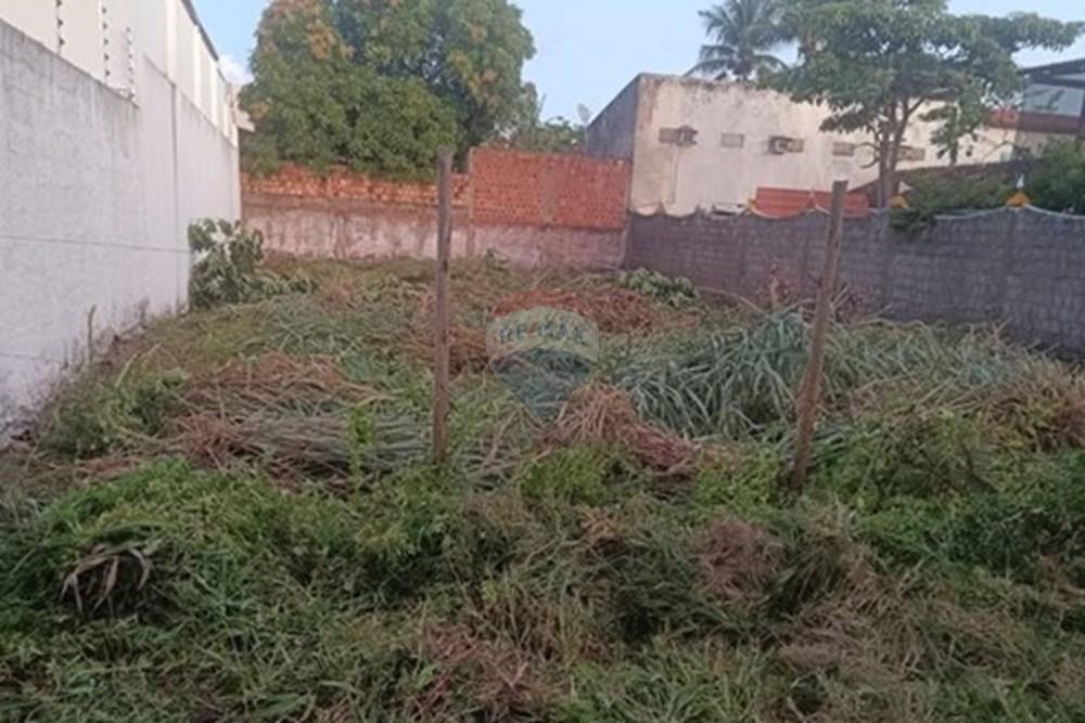 Terreno - Venda - Maragogi , Alagoas - WhatsApp Image 2025-05-29 at 14.52.09.jpeg - 850491061-15