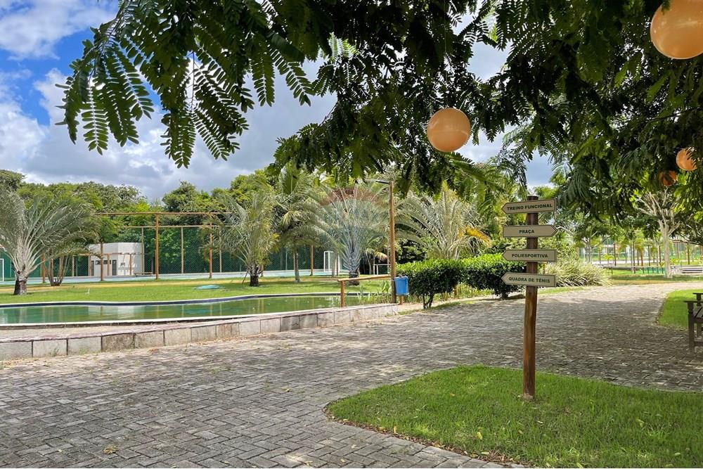 Terreno - Venda - Camaragibe , Pernambuco - IMG-20250508-WA0009.jpg - 850731002-6