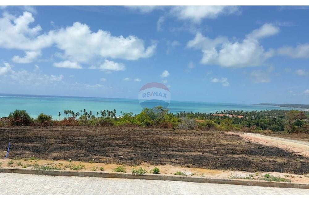 Terreno - Venda - Maragogi , Alagoas - WhatsApp Image 2026-01-17 at 19.09.49 (1).jpeg - 850291001-265