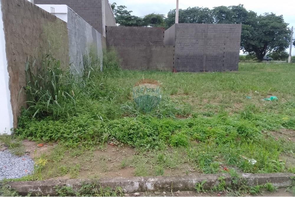 Terreno - Venda - Rio Largo , Alagoas - IMG-20250521-WA0018.jpg - 850711016-27