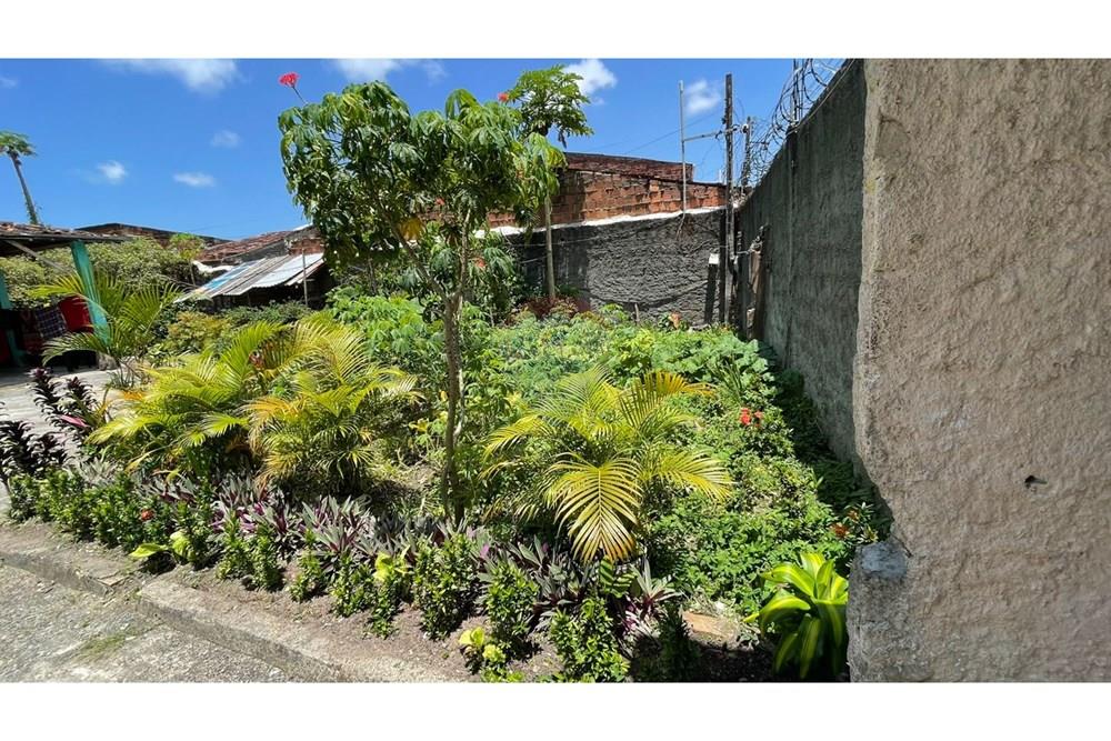 Chácara / Sítio / Fazenda - Venda - Maceió , Alagoas - 6f2a266d-4425-4c3a-a8ae-f13375886f62.jpeg - 850271147-49