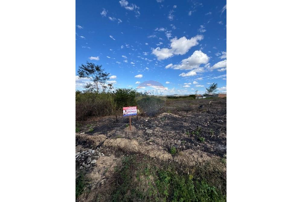 Terreno - Venda - Garanhuns , Pernambuco - WhatsApp Image 2025-12-03 at 21.36.57 (2).jpeg - 850131003-523