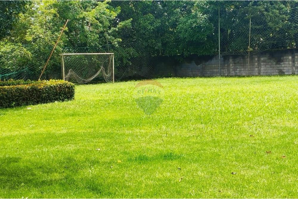 Chácara / Sítio / Fazenda - Venda - Recife , Pernambuco - WhatsApp Image 2025-10-07 at 10.10.50.jpeg - 850071019-216