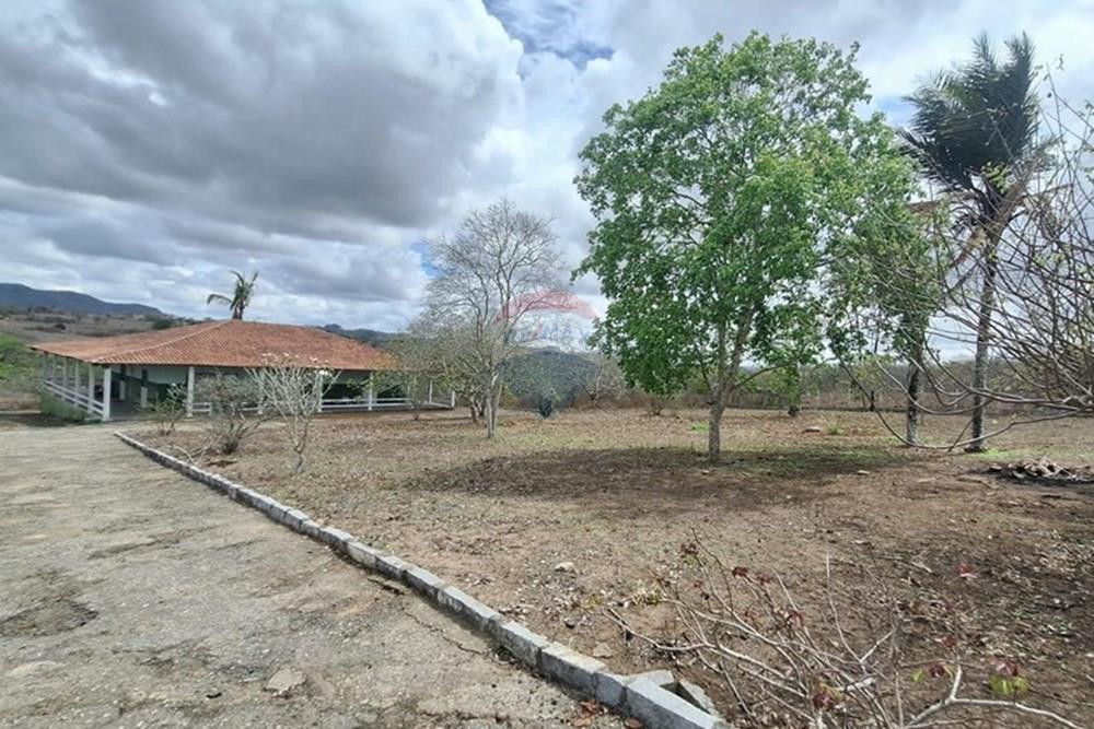 Chácara / Sítio / Fazenda - Venda - Caruaru , Pernambuco - WhatsApp Image 2026-03-02 at 12.25.25.jpeg - 850161060-46