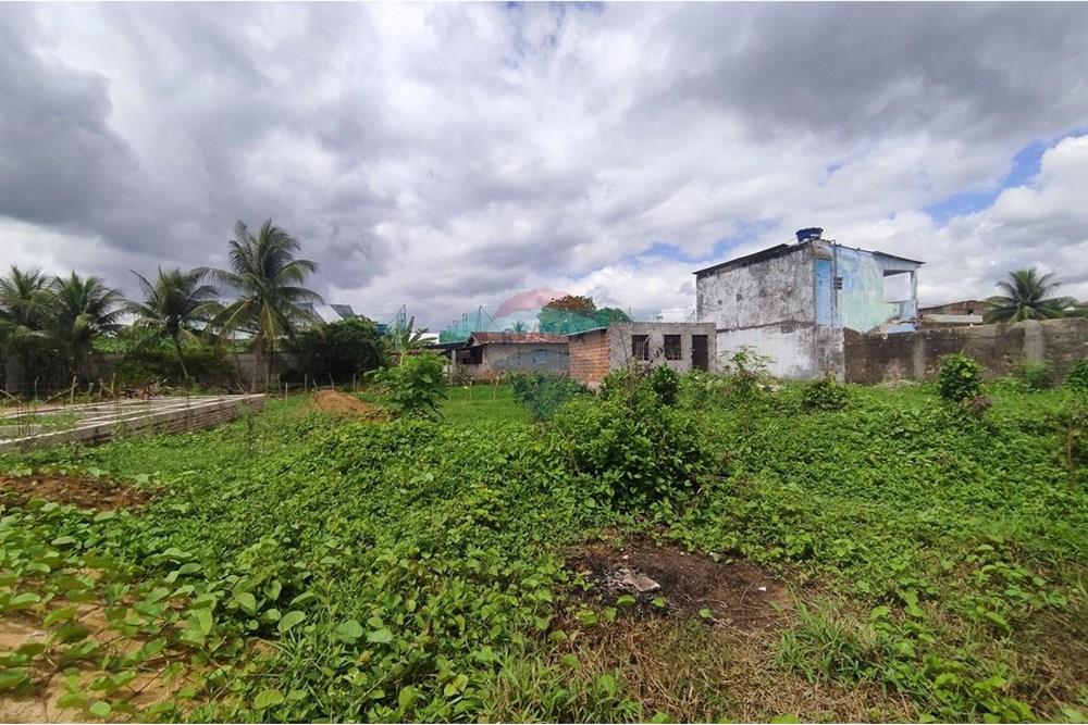 Terreno - Venda - Cabo de Santo Agostinho , Pernambuco - WhatsApp Image 2025-11-14 at 09.22.29 (1).jpeg - 850281001-56