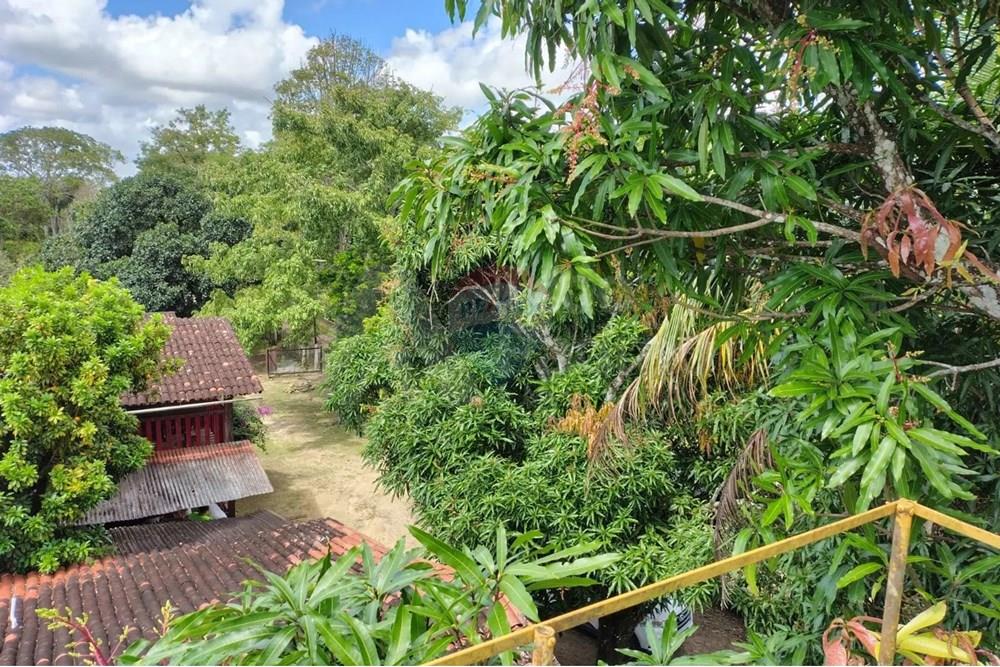 Chácara / Sítio / Fazenda - Venda - São Lourenço da Mata , Pernambuco - IMG-20251021-WA0137.jpg - 850091086-4