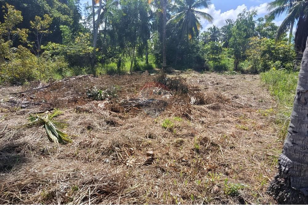 Terreno - Venda - Maragogi , Alagoas - IMG_20250531_123409.jpg - 850291008-73