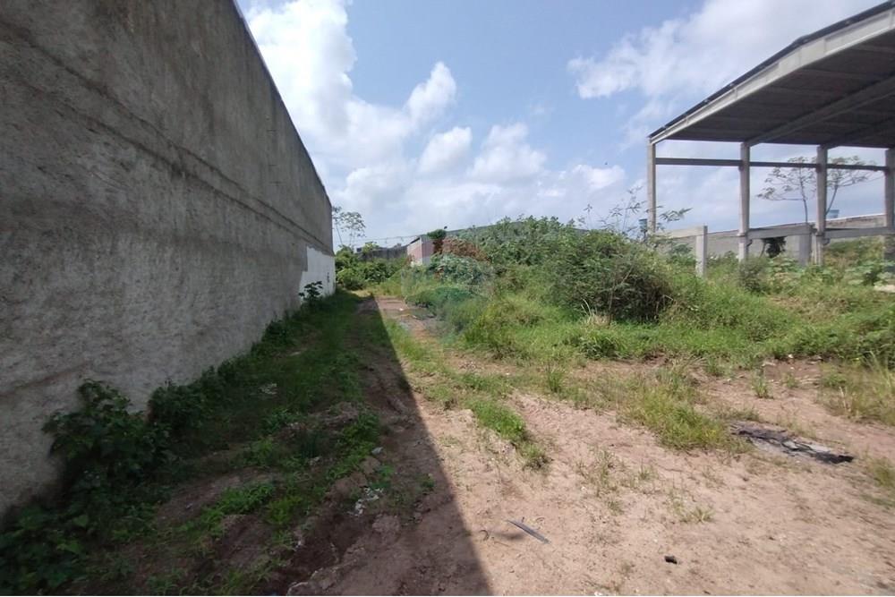 Terreno - Venda - Cabo de Santo Agostinho , Pernambuco - WhatsApp Image 2024-09-16 at 21.45.01.jpeg - 850281028-43