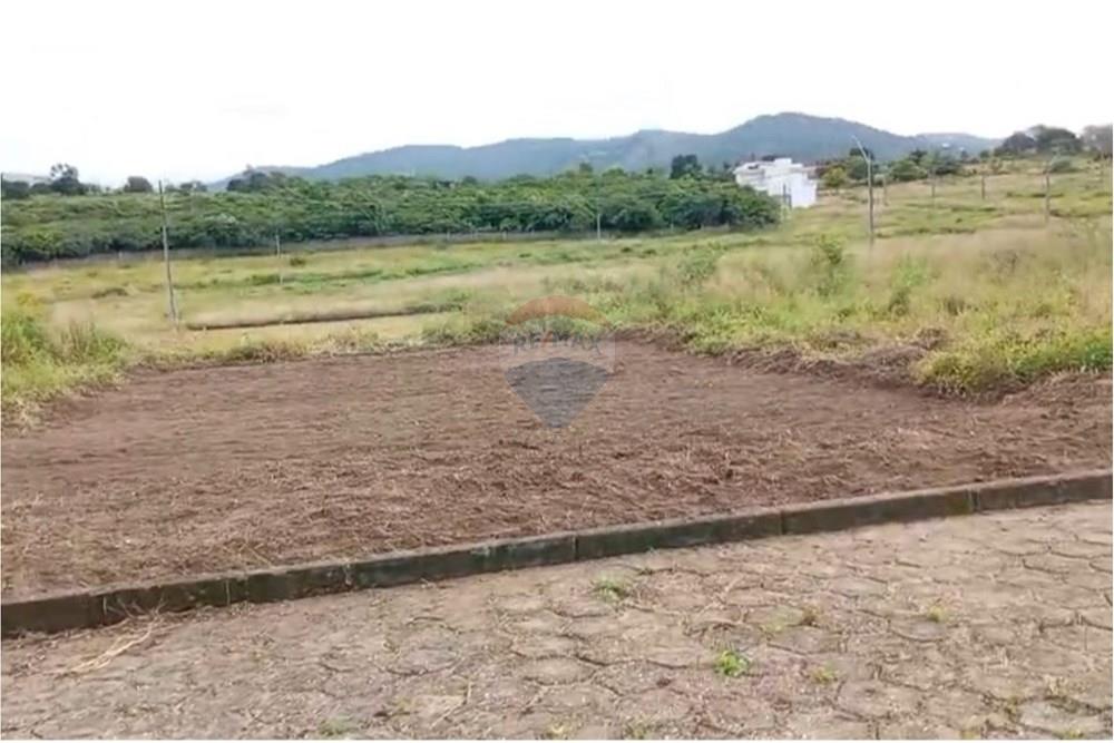 Terreno - Venda - Palmeira dos Índios , Alagoas - WhatsApp Image 2025-11-14 at 16.53.23.jpeg - 850271243-9