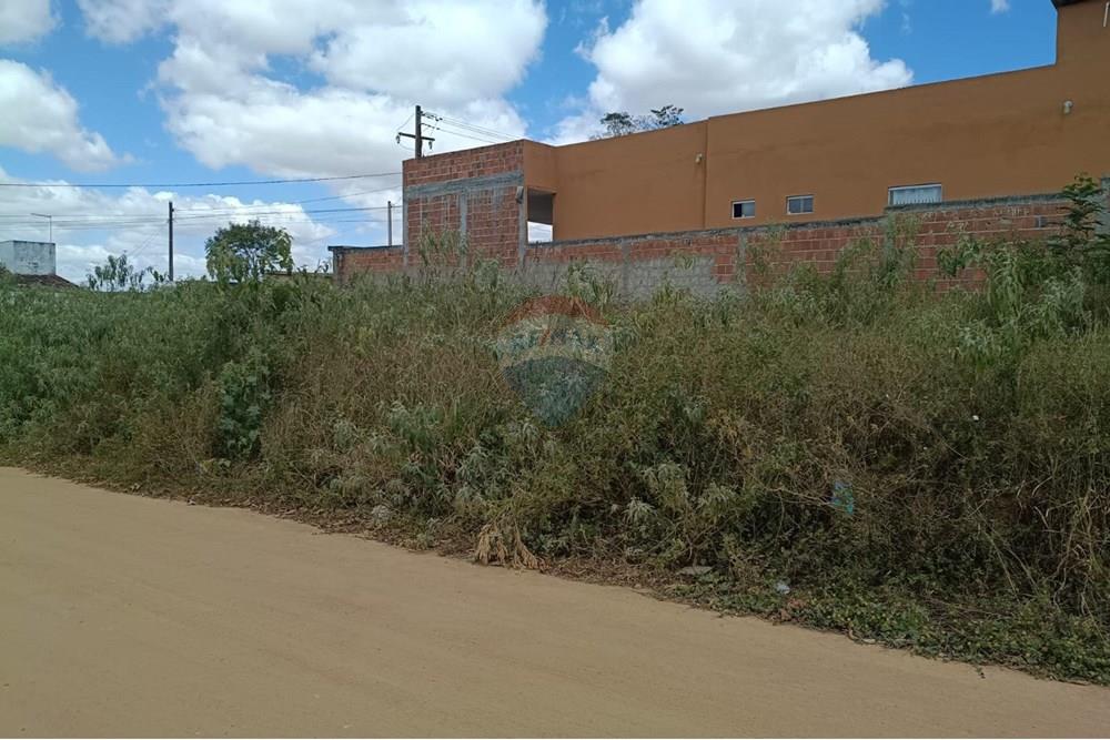 Terreno - Venda - Garanhuns , Pernambuco - WhatsApp Image 2025-11-14 at 12.55.37 (2).jpeg - 850741002-1