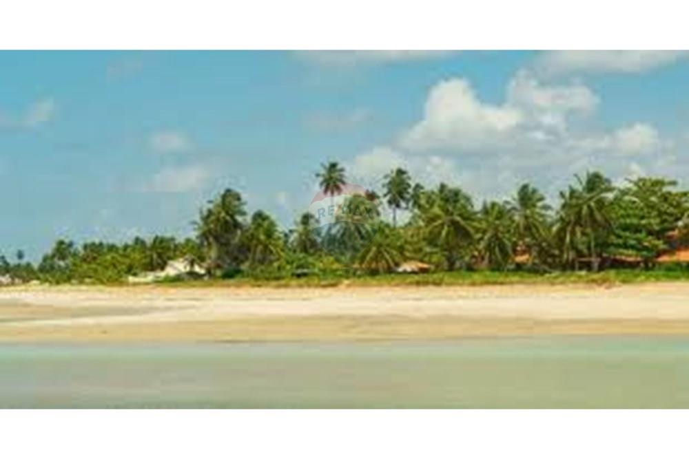 Terreno - Venda - São Miguel dos Milagres , Alagoas - images (9).jpeg - 850711016-62